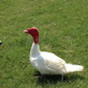 Meet your Posher, Aidan